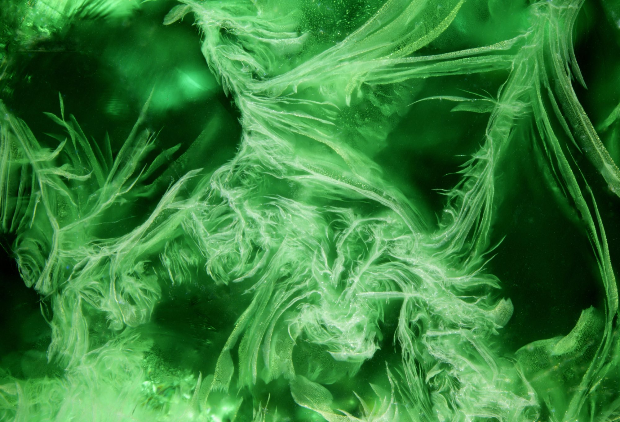 « Green Nebula ? Toxic Nebula ? »